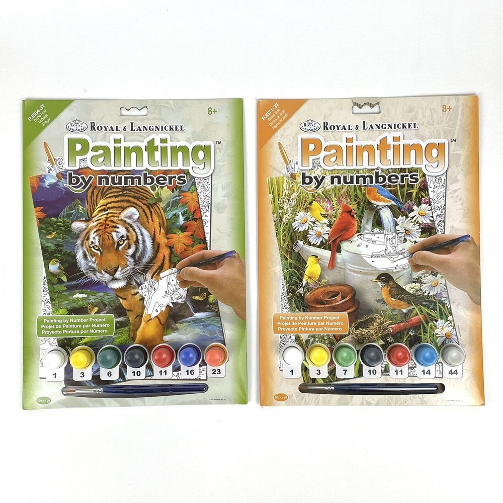 Set Of 2 Royal & Langnickel Painting by Numbers Kits Jungle Tiger Garden Birds